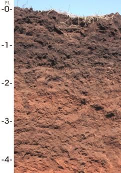 solul este  stratul de pamant in care plantele isi infig radacinile se numeste sol.solul asigura